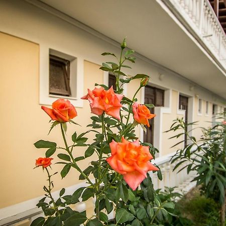 Leonidas Studios Laganas Dış mekan fotoğraf