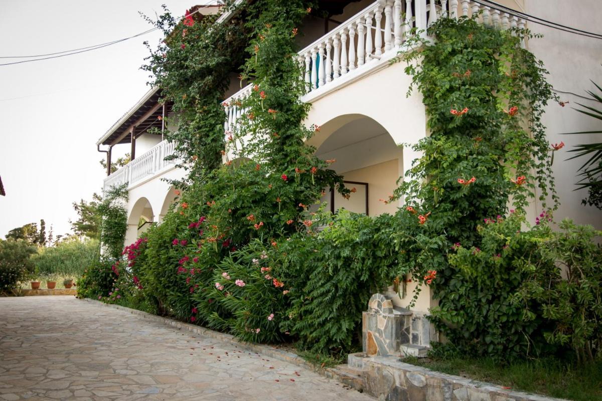 Leonidas Studios Laganas Dış mekan fotoğraf